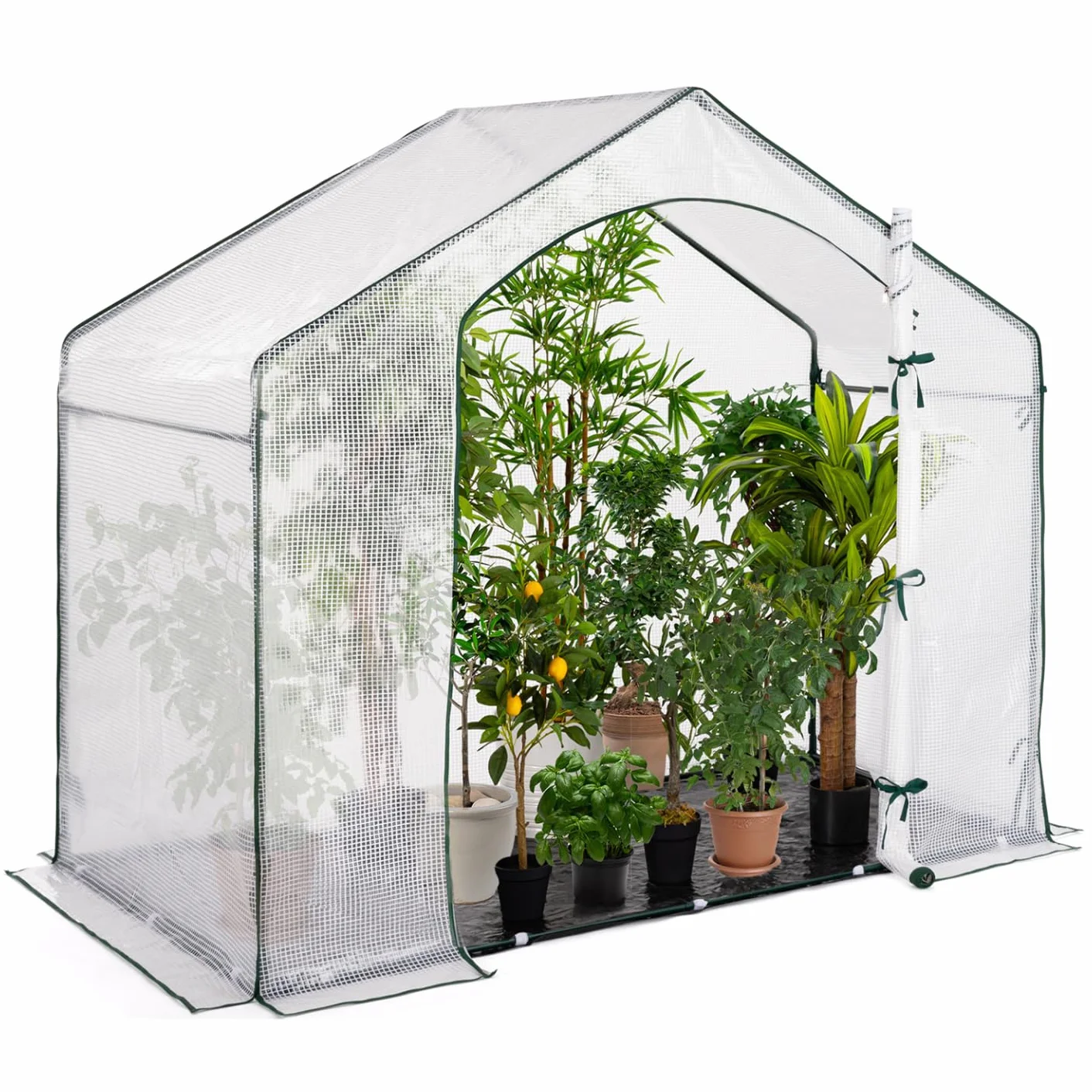 IDMarket - Serre d'hivernage Maison 200 x 80 x 160 cm Balcon et terrasse