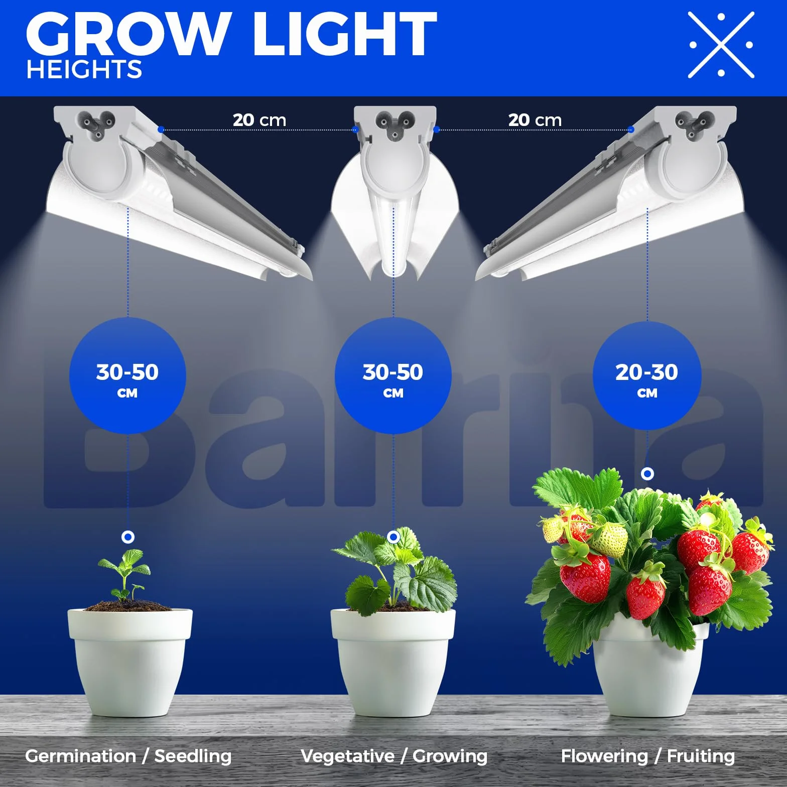 Barrina T8 Lampe Plante Interieur, 96W (4 X 24W), 60cm, LumièRe De Culture Led à Spectre Complet, Bande Lumineuse Led En Forme De V, 2FT LumièRe Pour Plantes D'IntéRieur, Haute PPFD, 5000K, Pack de 4