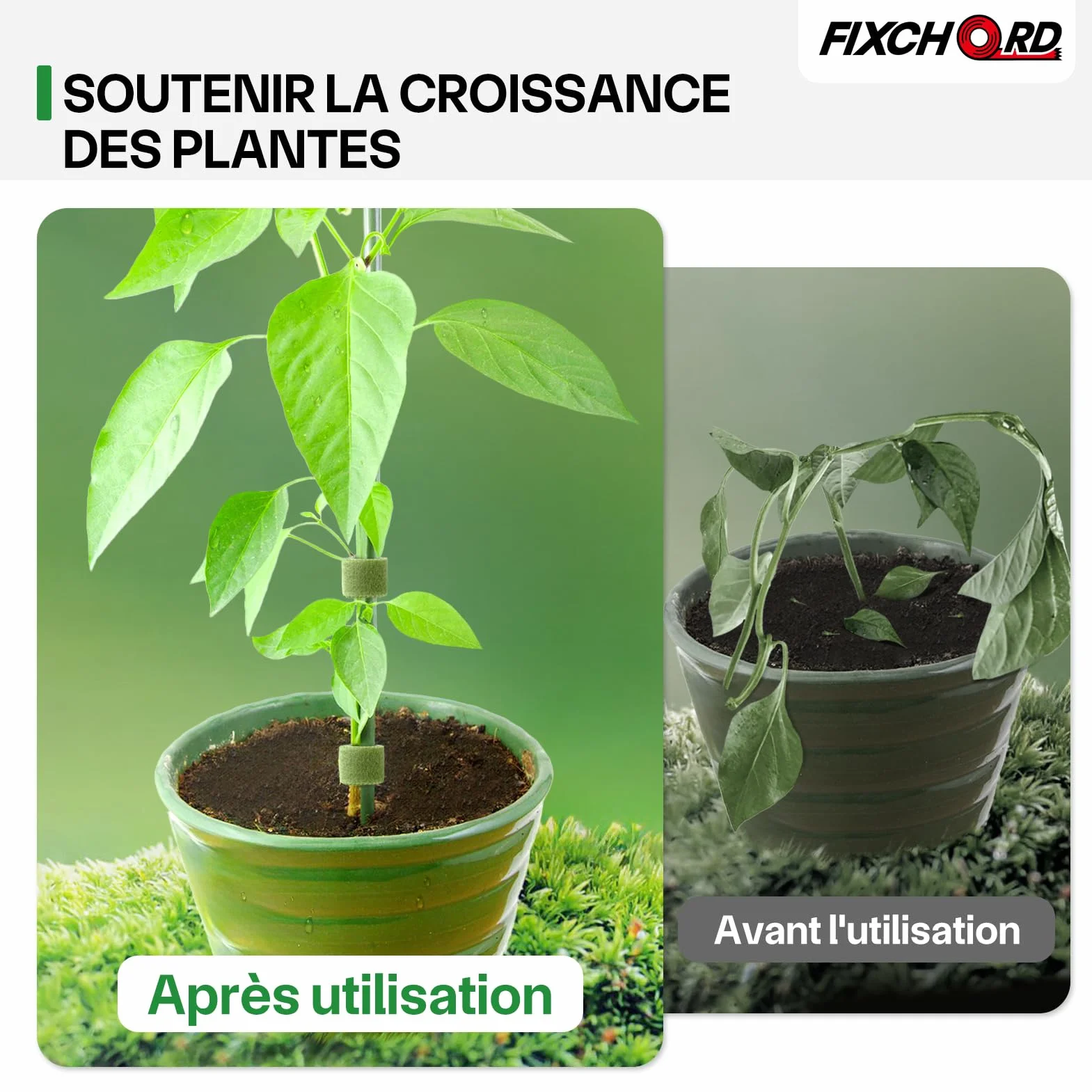 Attaches de Jardin pour Plantes, 10m*12mm Attache Plante Grimpante, Attache Plante Grimpante pour Tomate, Liens de Plantes Bande de Fixation Réutilisable, Verre Vert