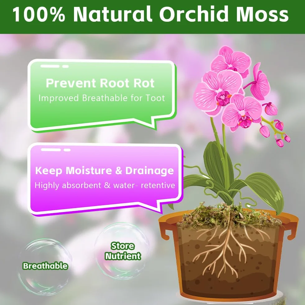 OFFCUP 500g Sphaigne pour Plante, Sphaigne Fraîche Compressée pour Orchidées Mélange Pot, Mousse Naturelle pour Reptiles, Tuteur en Sphaignes Substrat de Culture Naturel (500g)