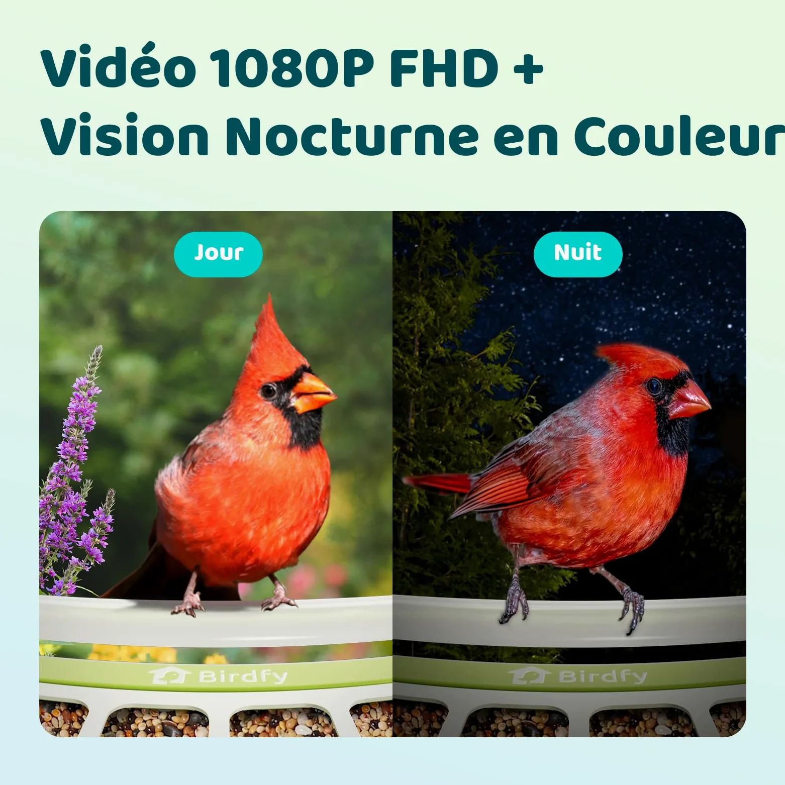 Birdfy Métal Mangeoire Oiseaux Camera pour L’Observation direct, 1080P Solaire Mangeoire Oiseaux Exterieur sans Fil, Vision Nocturne en Couleur, Notification Instantanée, Enregistrement à Chaque Visit