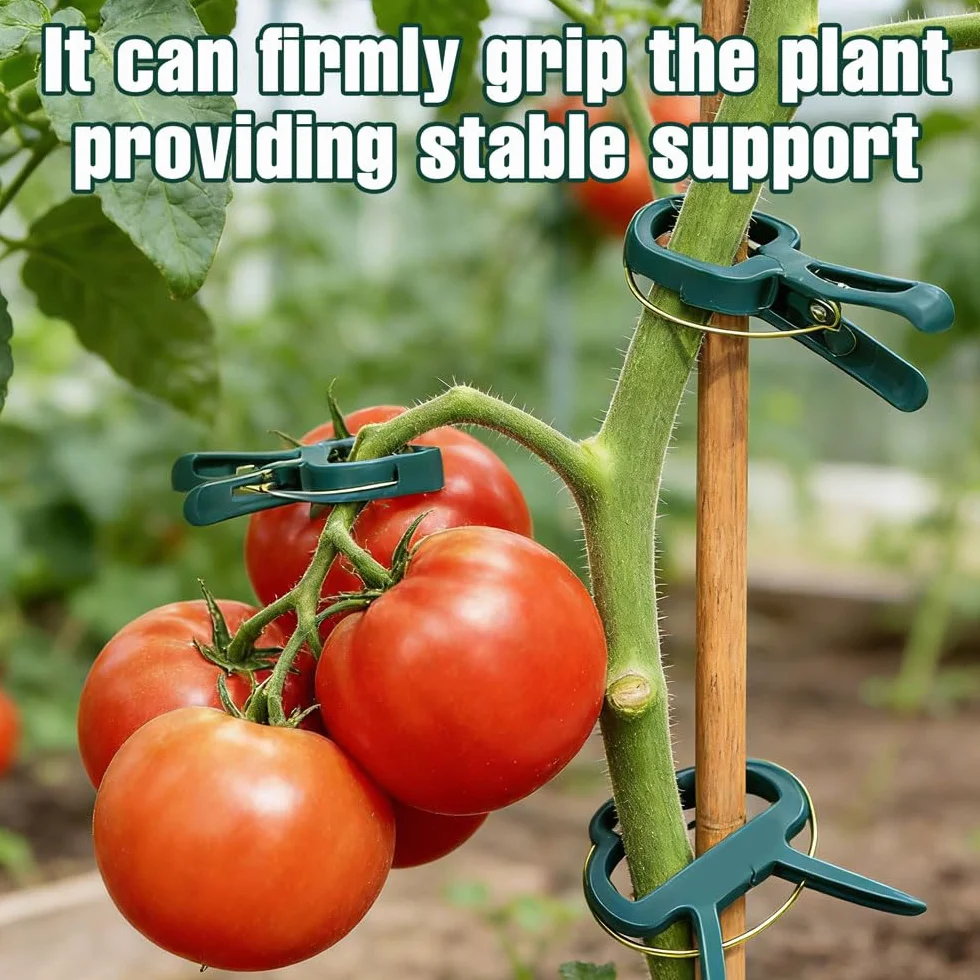100 Pieces Clips Tomate Clips pour Plantes, Attache Tomates Clips Réutilisable, Attache Tomate, Attache Plante, Attaches de Plantes pour Tomates, Concombres, Roses