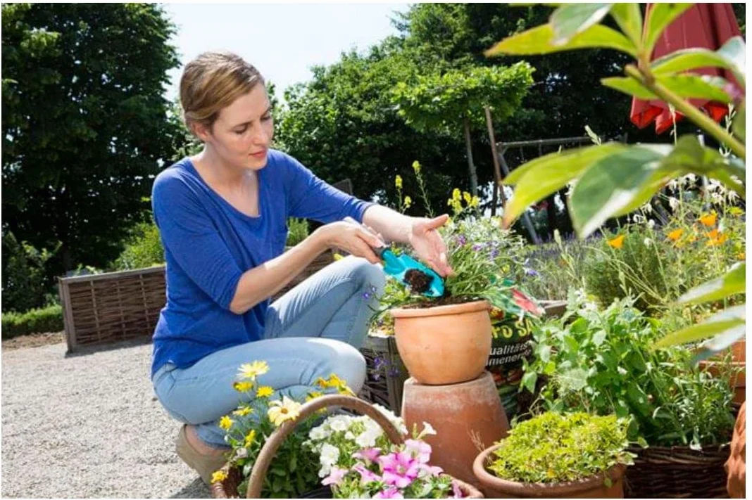 Transplantoir Classic de Gardena : pelle universelle pour la plantation et le repiquage dans le jardin et sur le balcon, acier de qualité, poignée ergonomique, largeur de travail 8 cm (8950-20)