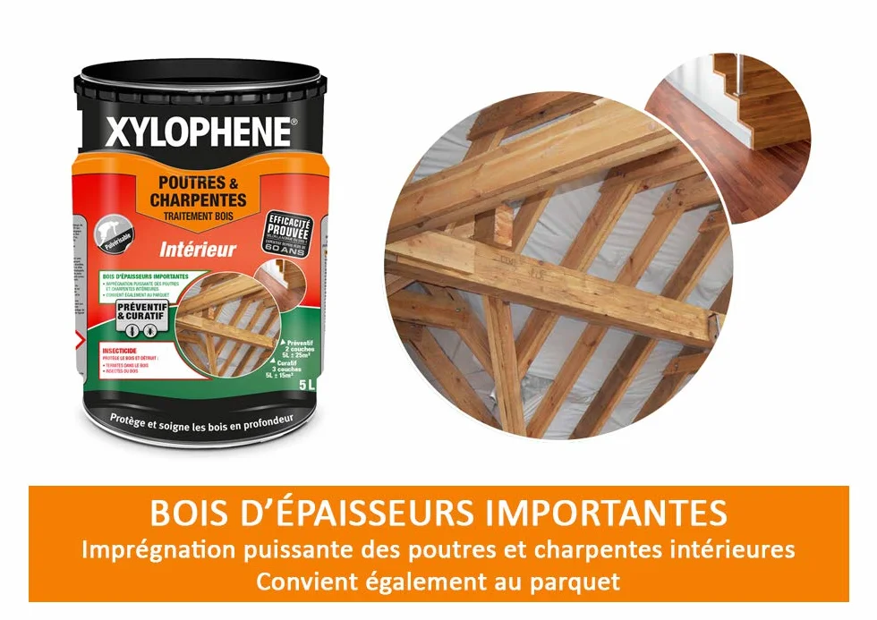 XYLOPHÈNE - Traitement Poutres & Charpentes - Anti Insectes - Traite les Bois de Charpente - Incolore - 5 l