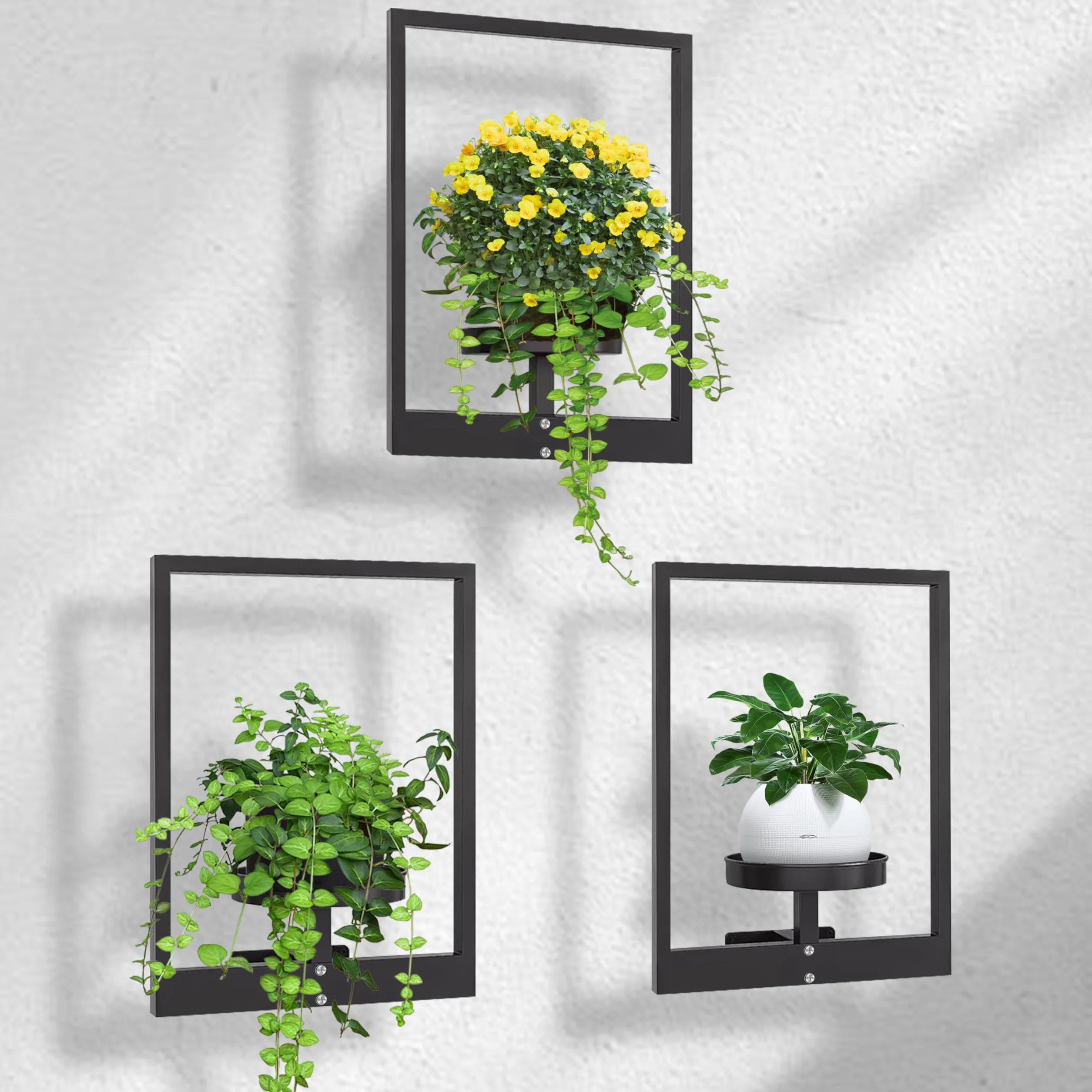 Support pour Plantes d'intérieur 3 Pièces avec Vis Étagère Murale en Métal pour Pots de Fleurs