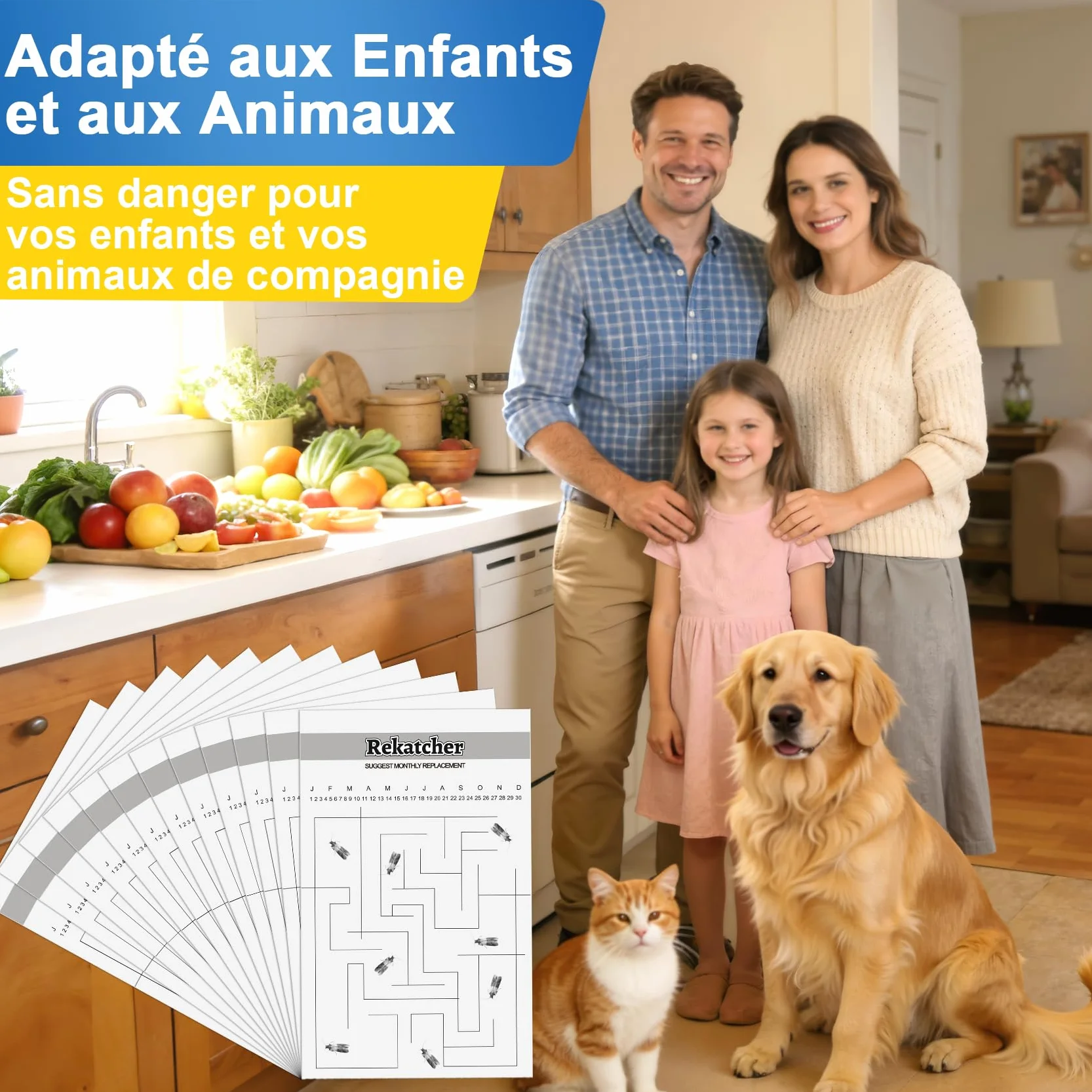 20 Pièces Anti Mites Alimentaires Piege Mites Alimentaires Piège Mite Alimentaire Anti Mite Alimentaire avec Le Plus Grand Attrait Convient pour Le Restaurant De Garde-Manger De Cuisine