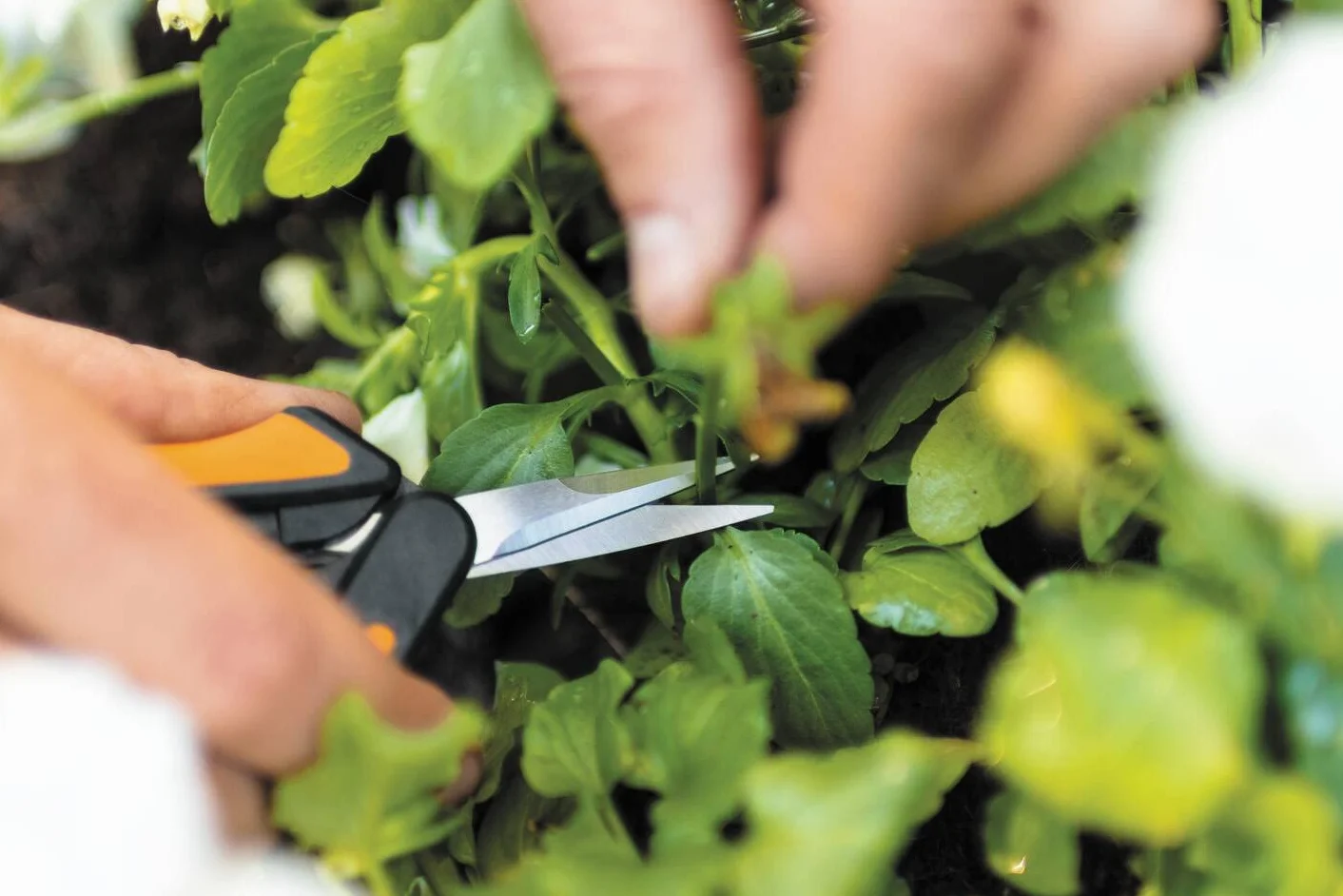 Fiskars Solid Ciseaux à élaguer, Orange/Noir