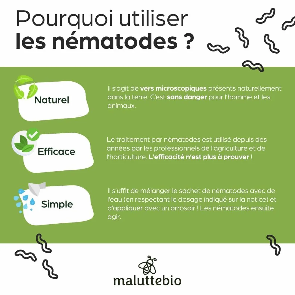 Nématodes Papillon du palmier et Charançon Rouge - Traitement 6-12 palmiers (100M)