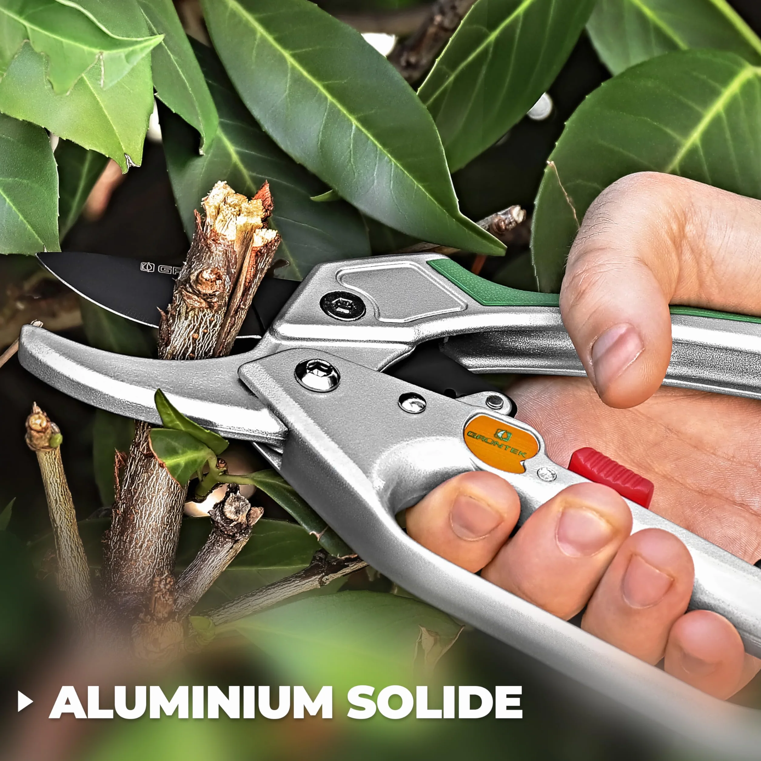 GRÜNTEK Sécateur de Jardin Professionnel à Cliquet Automatique et Enclume CONDOR 20cm. Coupe Branches Ø20 mm.