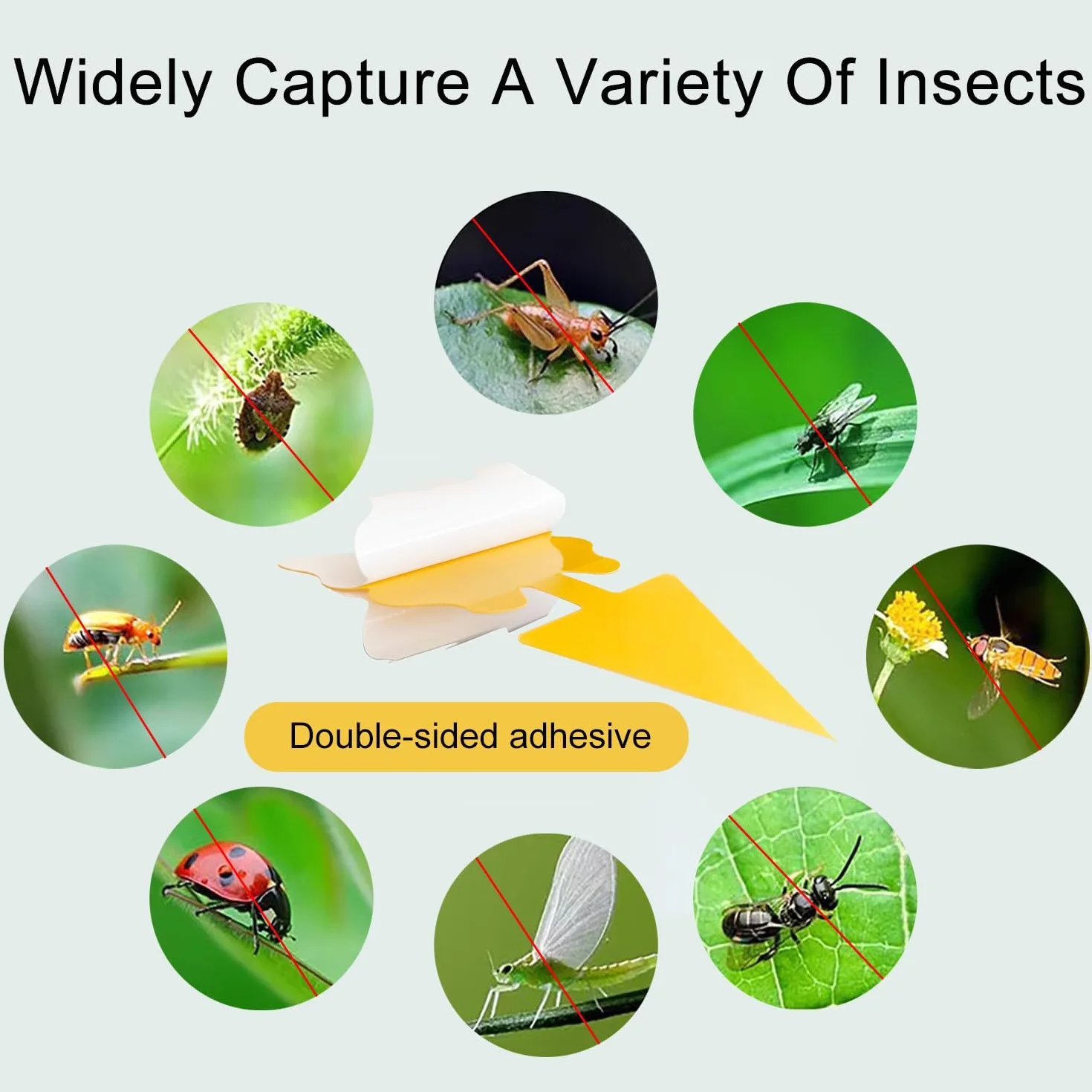 GeekerChip Pièges à Insectes,12 Pcs Attrape Moucheron Plantes,Attrape Mouches Intérieur,Plug-in Pièges,pour Les Insectes intérieurs et extérieurs, Imperméables et Non Toxiques(2 Formes)