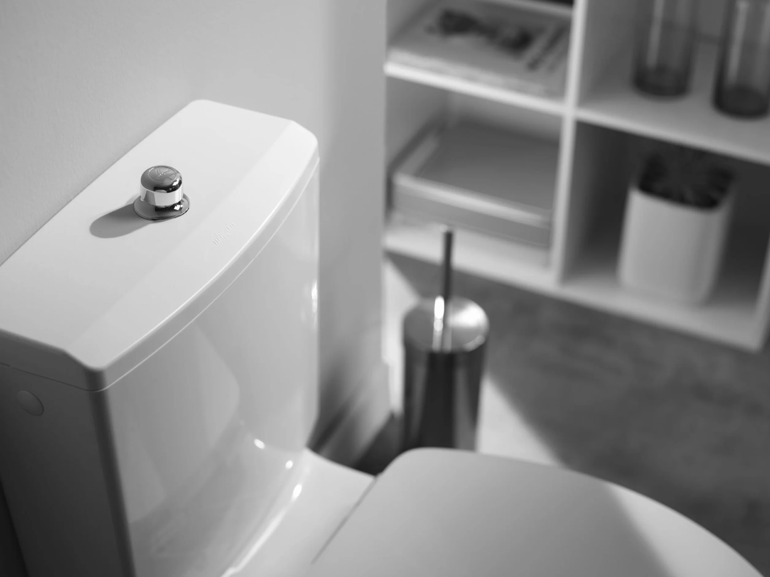 Wirquin Mécanisme chasse d'eau WC simple chasse avec bouton poussoir MX gris