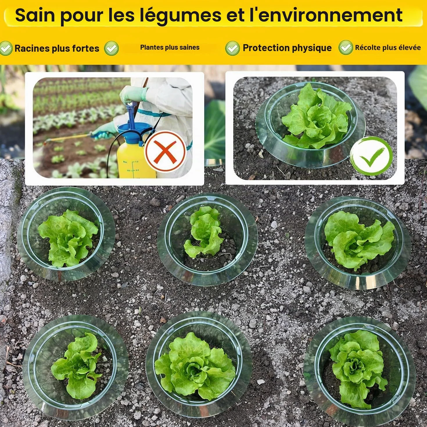 Collier anti-limaces 10 anneaux protection salades choux jardinière surélevée