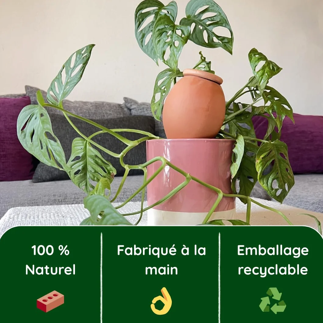 3 Oyas à Planter 400 ML en Terre Cuite avec Couvercle – Ideale pour Petit Pot - Arrosage Automatique Écologique pour Plantes d’Intérieur et d’Extérieur – Autonomie Jusqu’à 1 Semaine-
