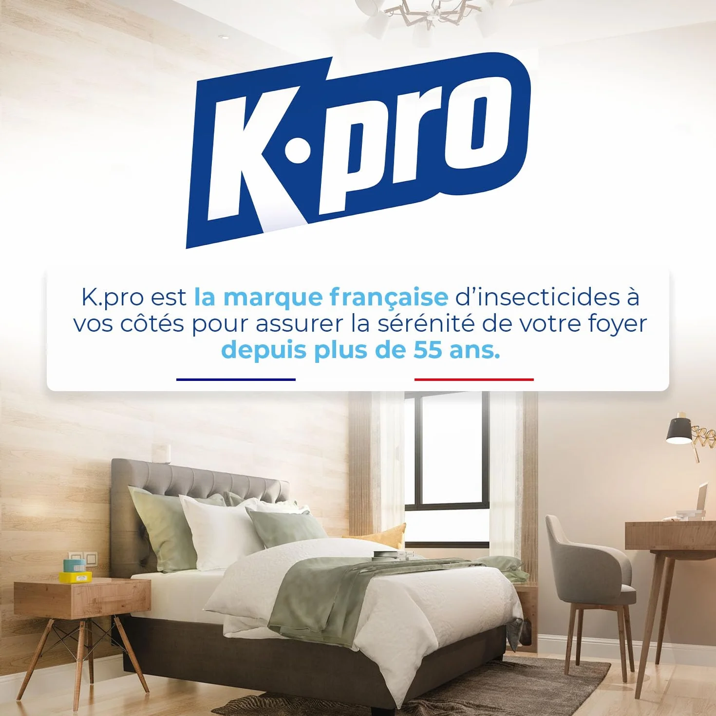 K.PRO Fumigateur Insecticide 10g 25-50m² Action Longue Durée Professionnel