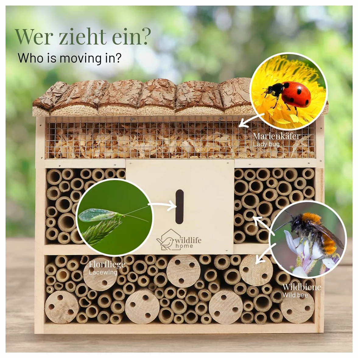 Hôtel à abeilles en bois massif non traité avec toit en écorce pour abeilles et insectes