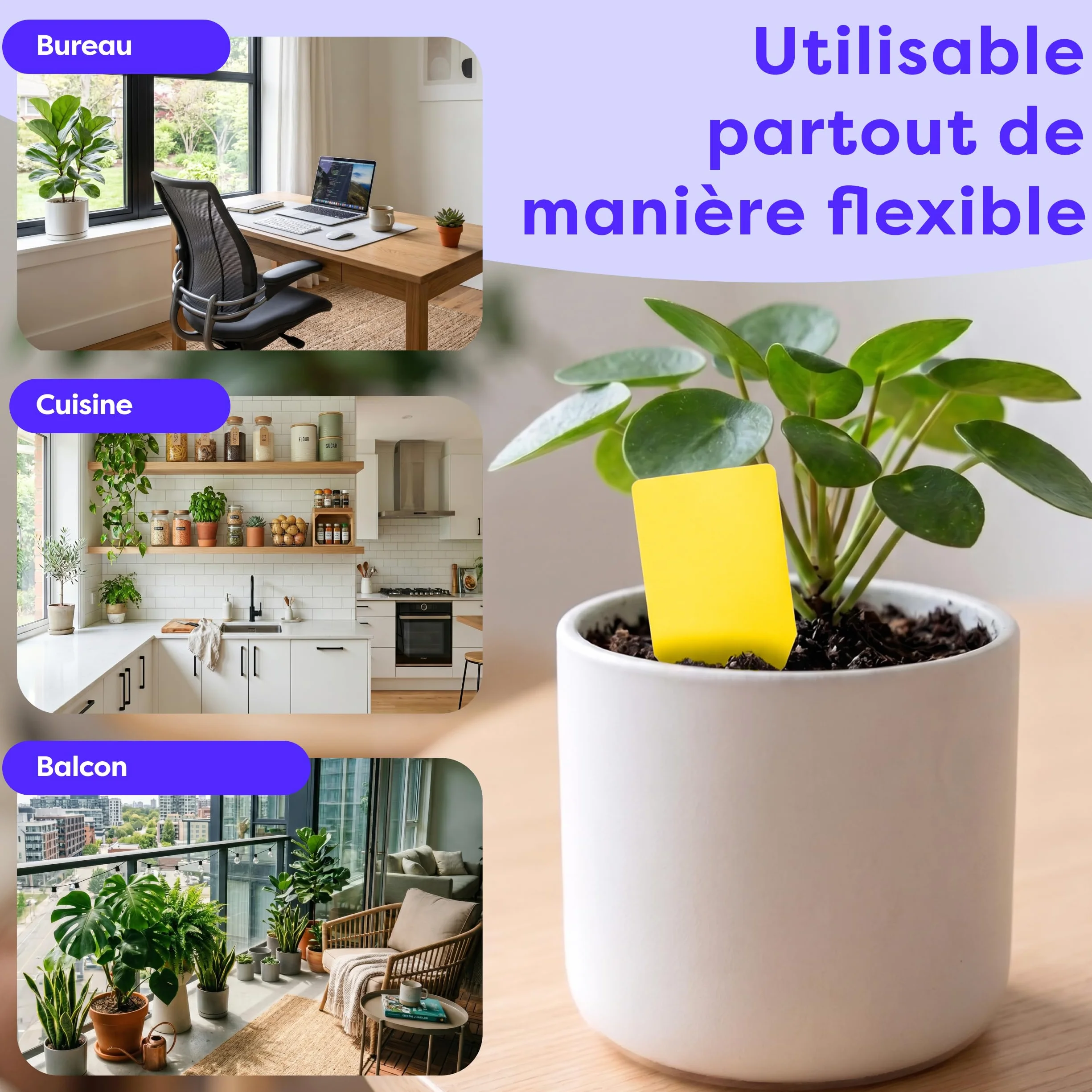 Wolkenfeld Piège à Moucherons Plantes 30 Pièces Stickers Jaunes – Anti Moucherons Interieur, Attrape Moucheron Adhésif Double Face, sans Insecticide – Plantes d’Intérieur & Serre – Made in Germany