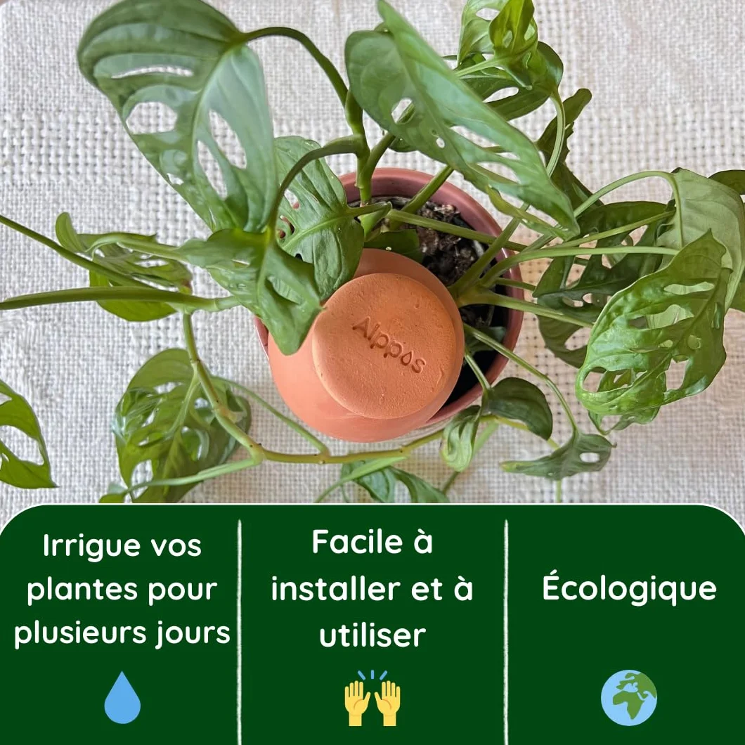 3 Oyas à Planter 400 ML en Terre Cuite avec Couvercle – Ideale pour Petit Pot - Arrosage Automatique Écologique pour Plantes d’Intérieur et d’Extérieur – Autonomie Jusqu’à 1 Semaine-