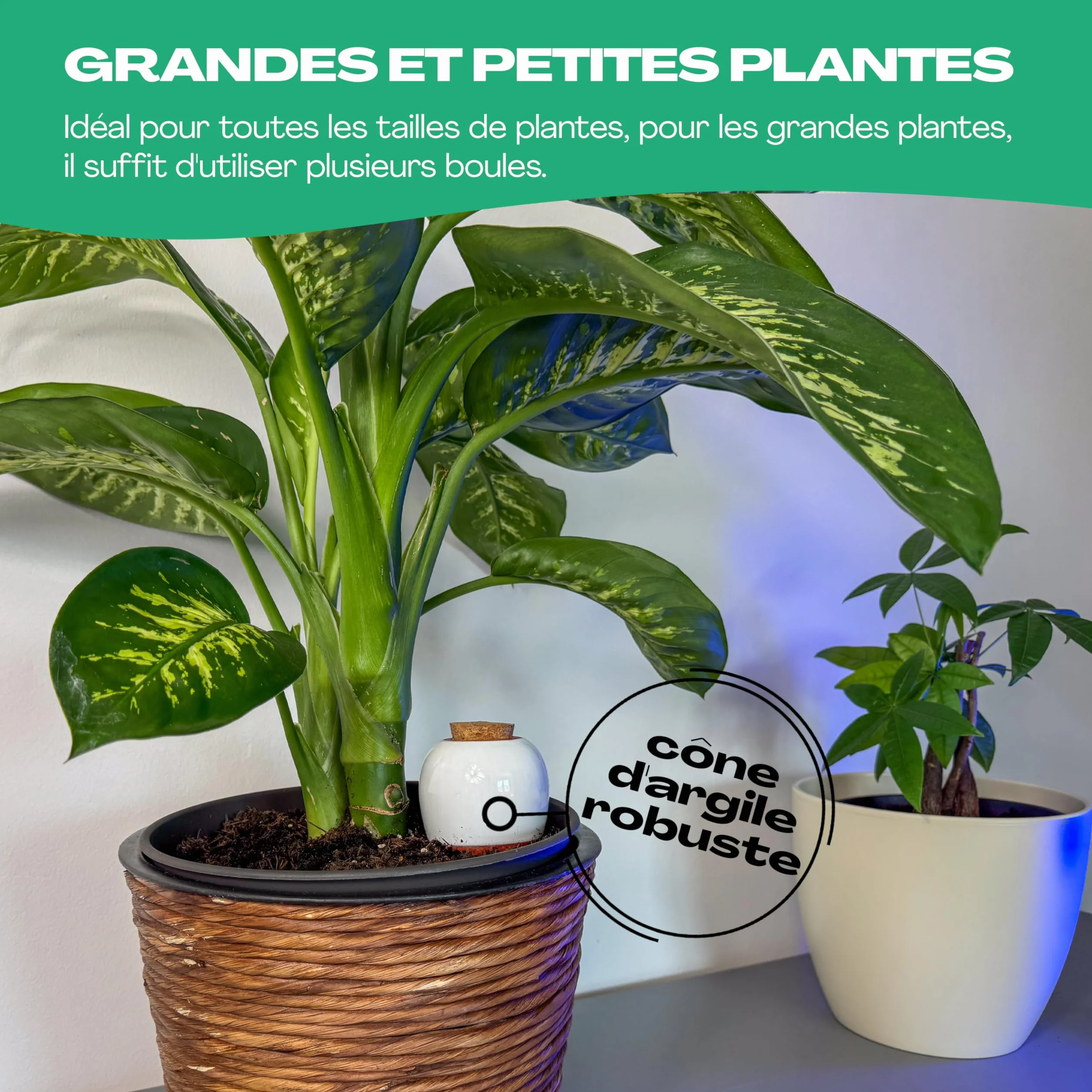 Netrox Cône d'irrigation en argile – 8x 360ml – idéal en vacances, jusqu'à 14 jours – arrosage automatique pour plantes d'intérieur, jardin et balcon – Irrigation, système d'irrigation, distributeur