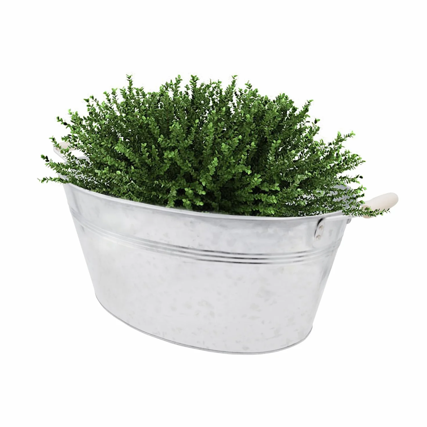 Baignoire galvanisée Bol à planter Mini étang Décoration jardin extérieur