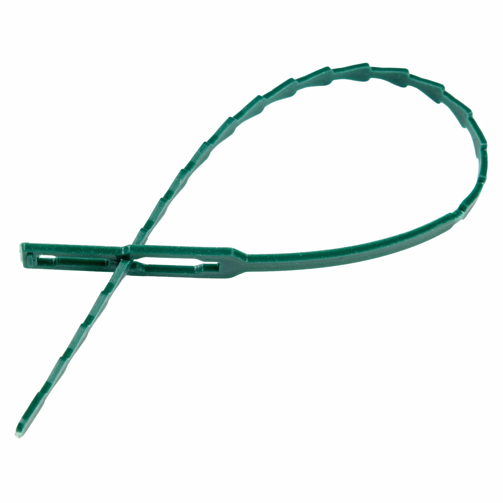 Flandria 50 Attaches Plantes Réglables 23cm – Liens Réutilisables pour Plantes et Potager - Attache Tuteur Vert