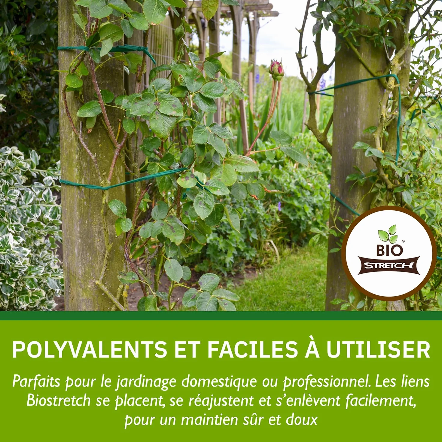 Bio-Stretch Liens de Jardin Souples pour Plantes d’Intérieur et d’Extérieur – Résistants et Extensibles, Ficelle Découpable pour Plantes Grimpantes, Tomates et Jardinage à Domicile (40m / Vert)