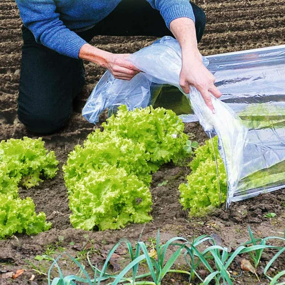 TERRE JARDIN - Tunnel de Forçage Accordéon Souple 4 m