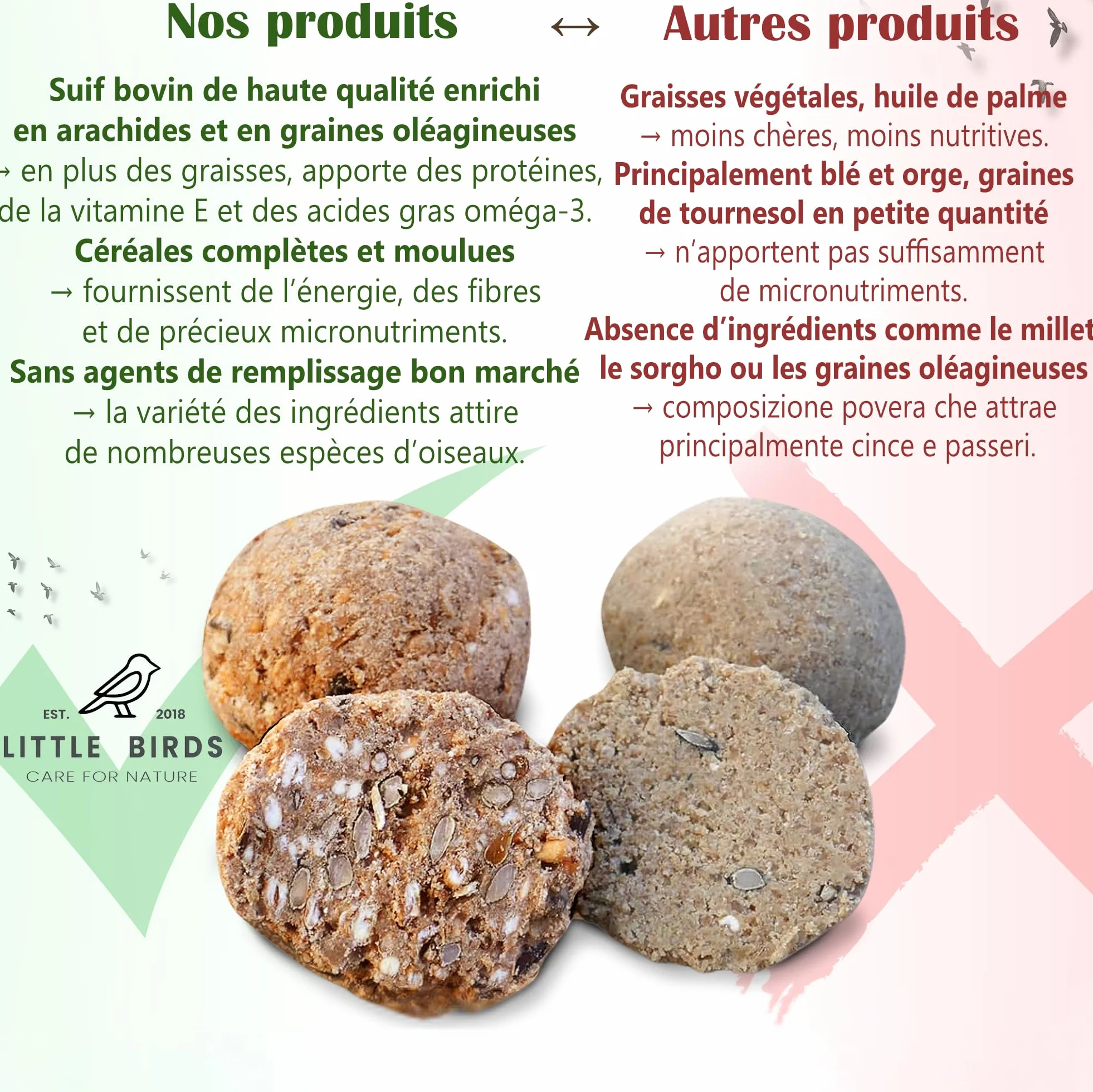 Care4Nature 60 Boules de Graisse Oiseaux du Jardin avec Mangeoire - Ingrédients Naturels