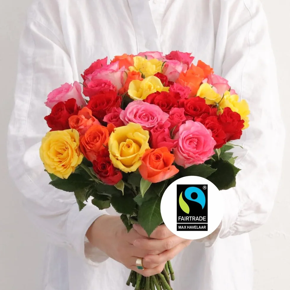 Fleurs et Délices Brassée de Roses Multicolores Très Grand Bouquet 55 Tiges Cadeau Anniversaire Saint-Valentin