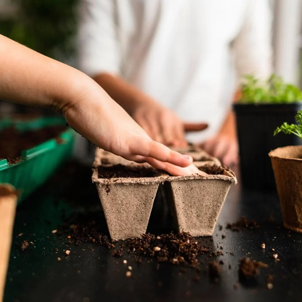 LATRAT Lot de 12 pots de culture, plateau de démarrage pour le jardin, le potager et les serres, bac à semis