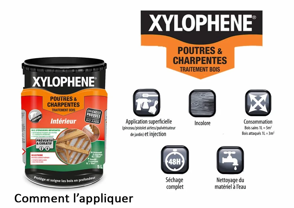 XYLOPHÈNE - Traitement Poutres & Charpentes - Anti Insectes - Traite les Bois de Charpente - Incolore - 5 l