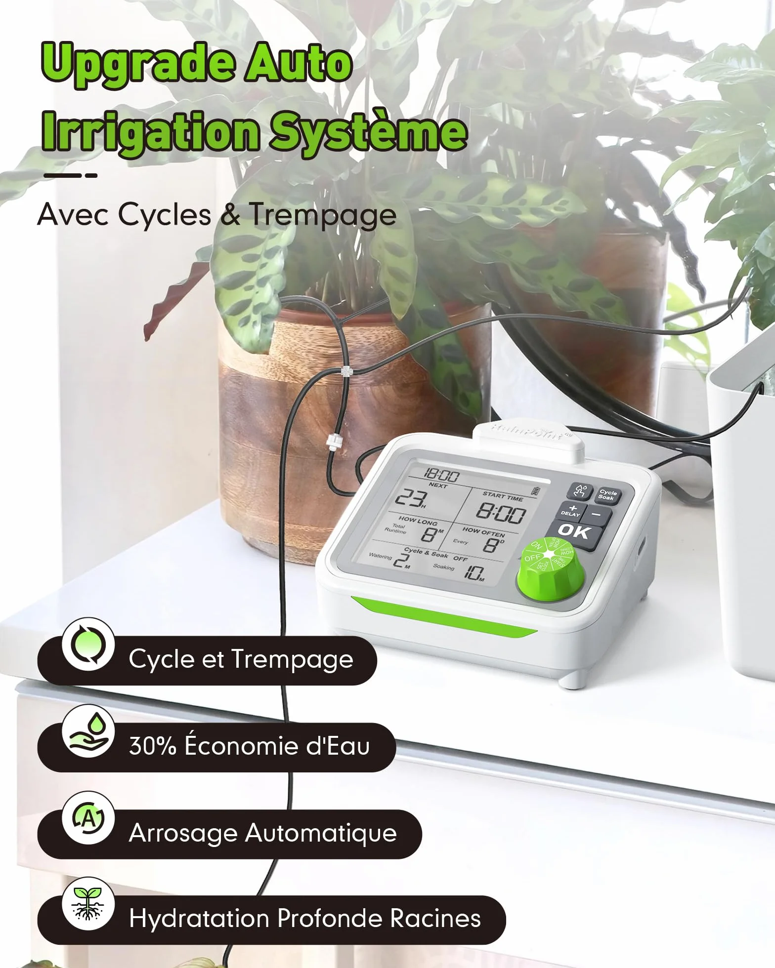 RAINPOINT Système d'irrigation automatique goutte à goutte rechargeable pour 20 plantes d'intérieur
