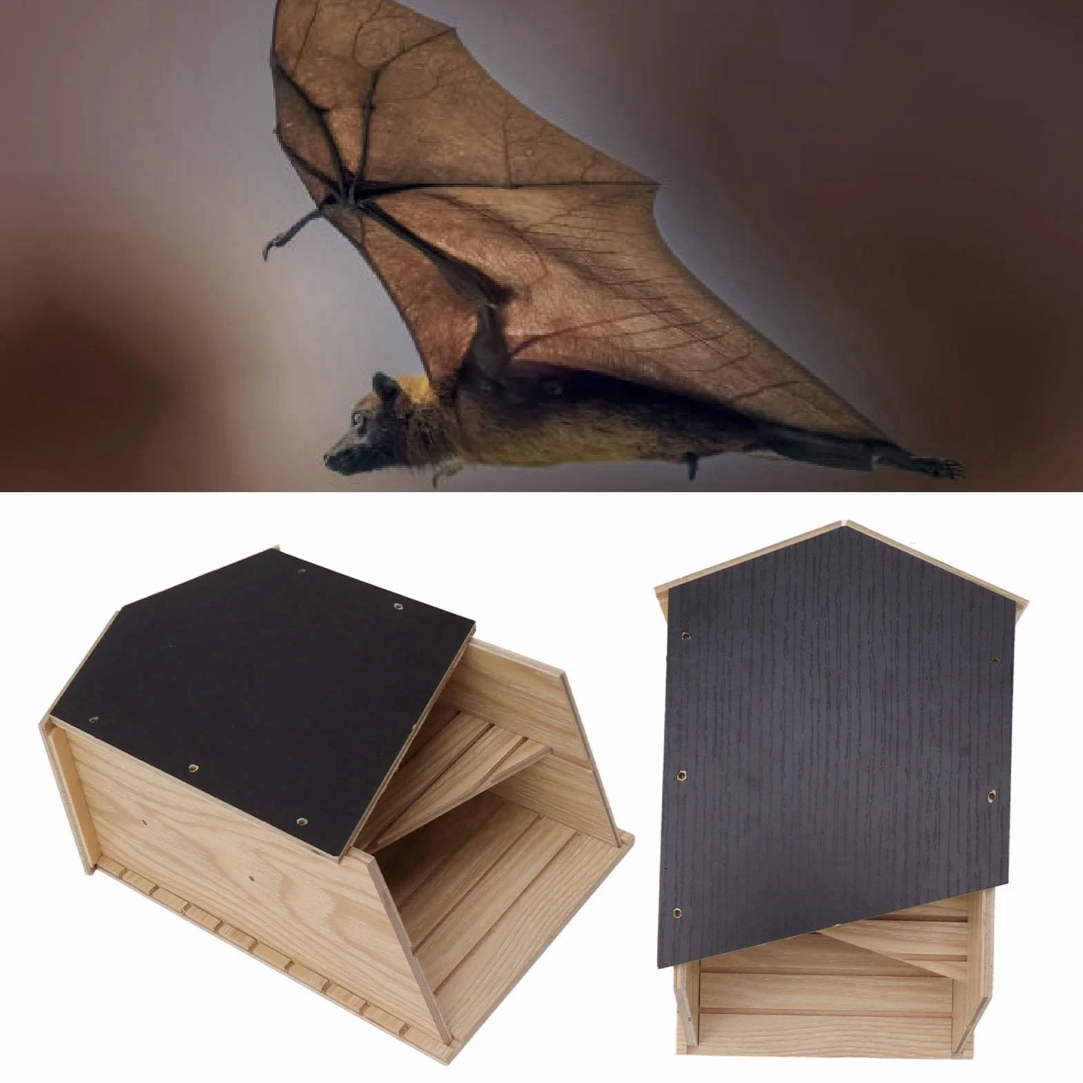 Maison pour Chauve-souris en Bois Double Chambre Imperméable Coupe-vent Extérieur