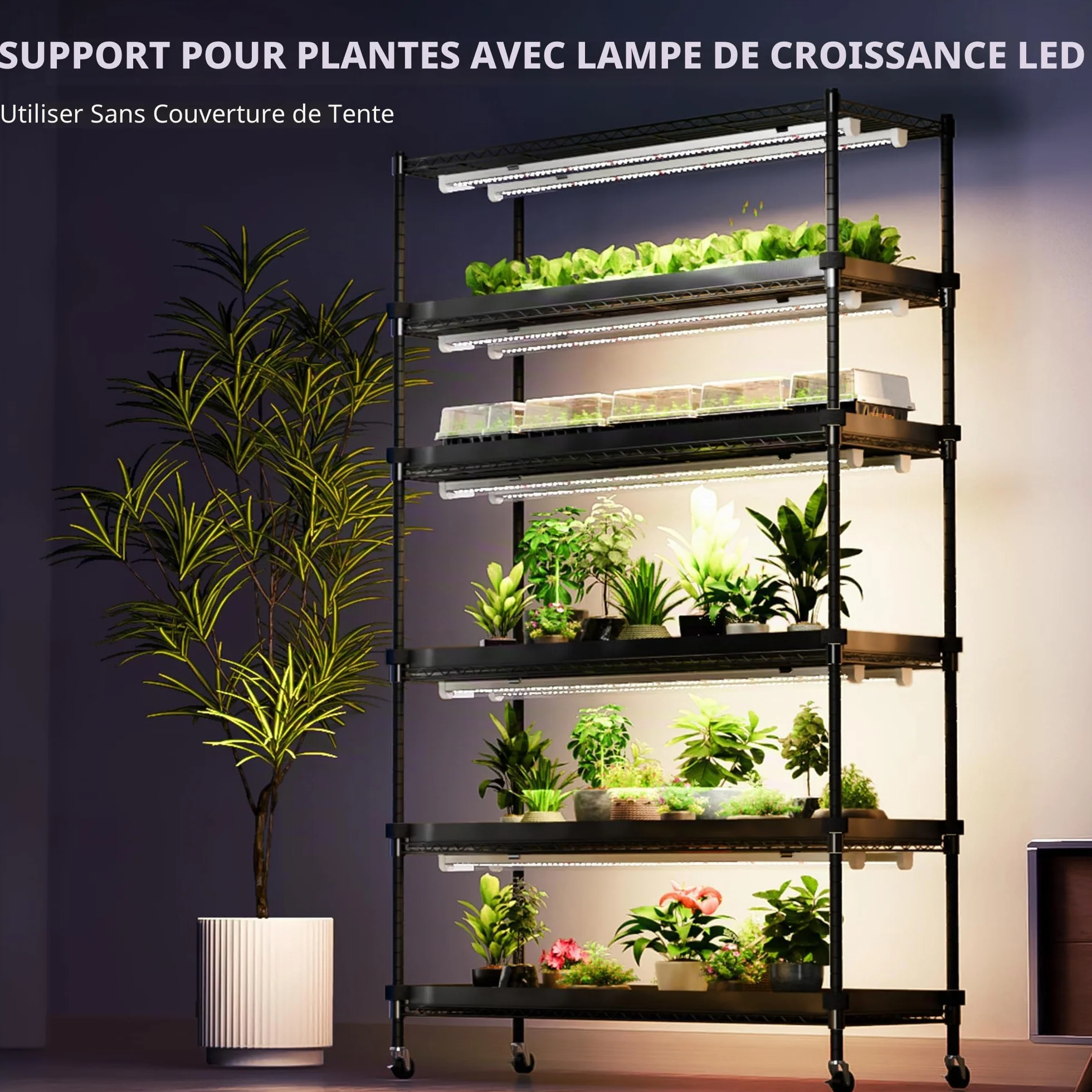 Spider Farmer Support pour plantes 6 étages réglables 220 W LED spectre complet Kit serre Métal noir 110 x 40
