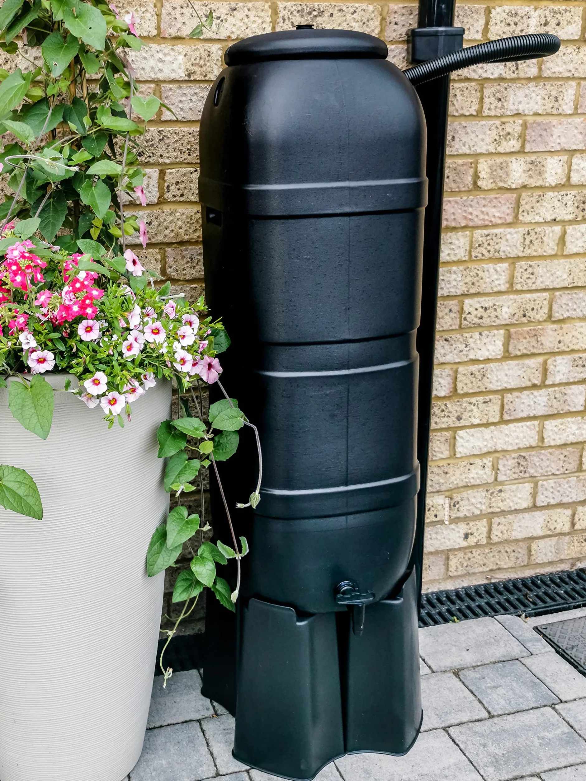 Ward GN339 Tonneau récupérateur d'eau Mince 100 l
