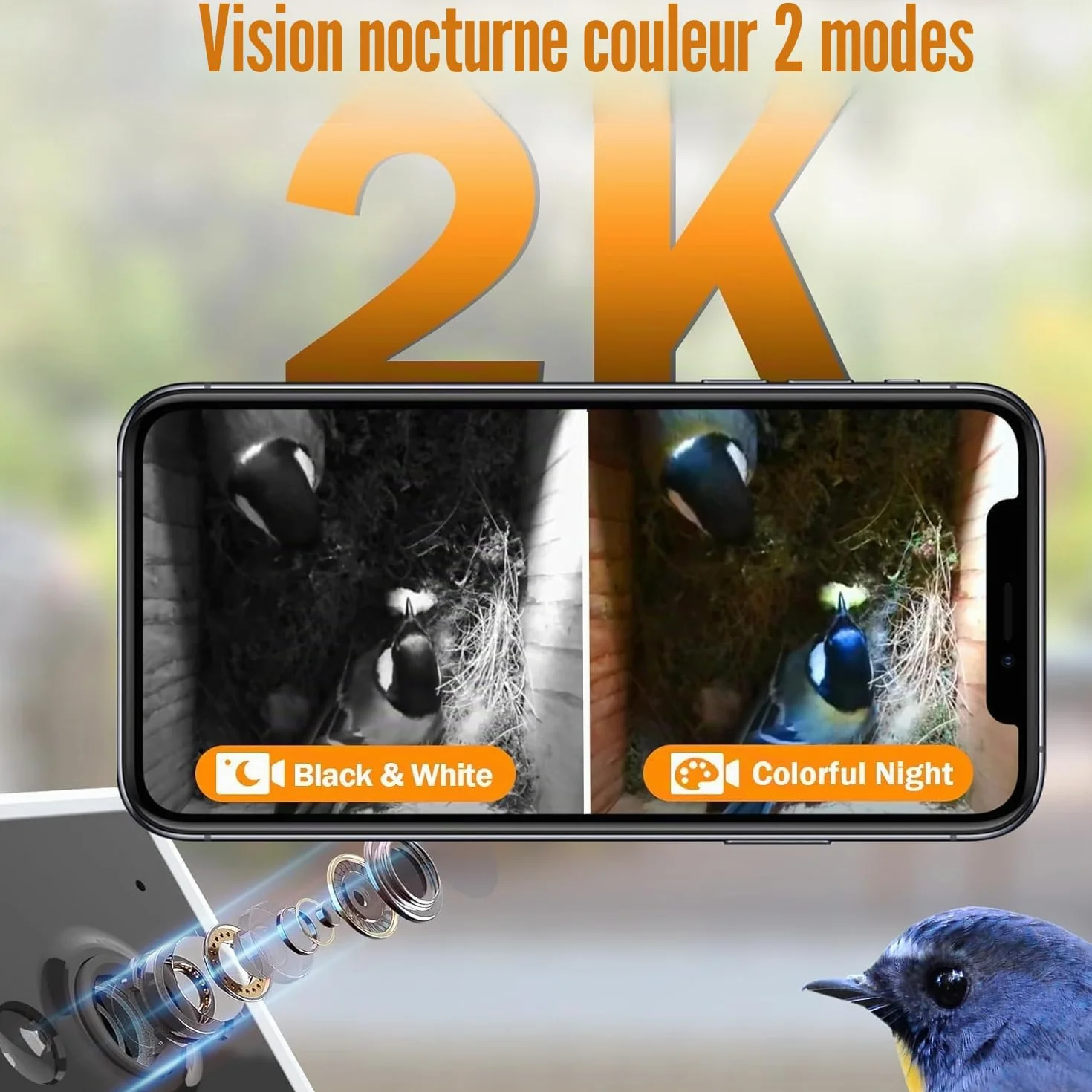 Nichoir à Oiseaux avec Caméra HD 4MP, Nichoir pour Jardin, Résistant aux Intempéries, WiFi 2,4G et Notification d'application, Surveillance de Nidification et d'éclosion, Enregistrement Automatique
