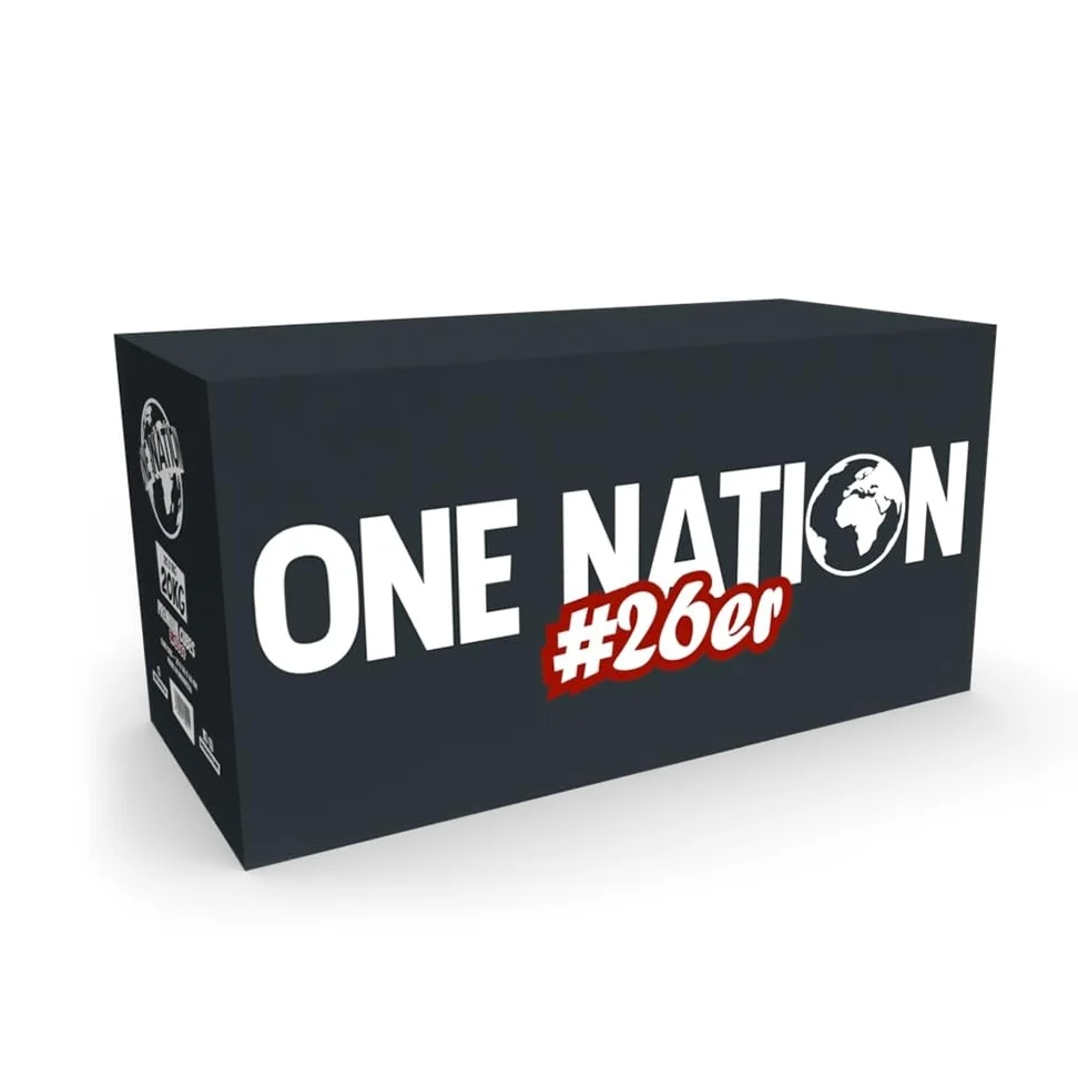 ONE NATION Lot de 26 charbons de noix de coco de qualité supérieure - Chicha en 100 % coquilles de coco - Durée de combustion max. 120 minutes - Chaleur forte - Sans goût propre ni additifs chimiques