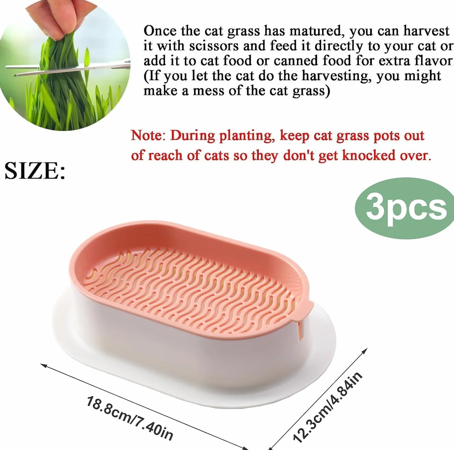 3 Plateaux de Plantation pour Herbe à Chat, germoir sans Terre pour Herbe à Chat, conteneur de Plantation pour Herbe à cha pour Chats d'intérieur