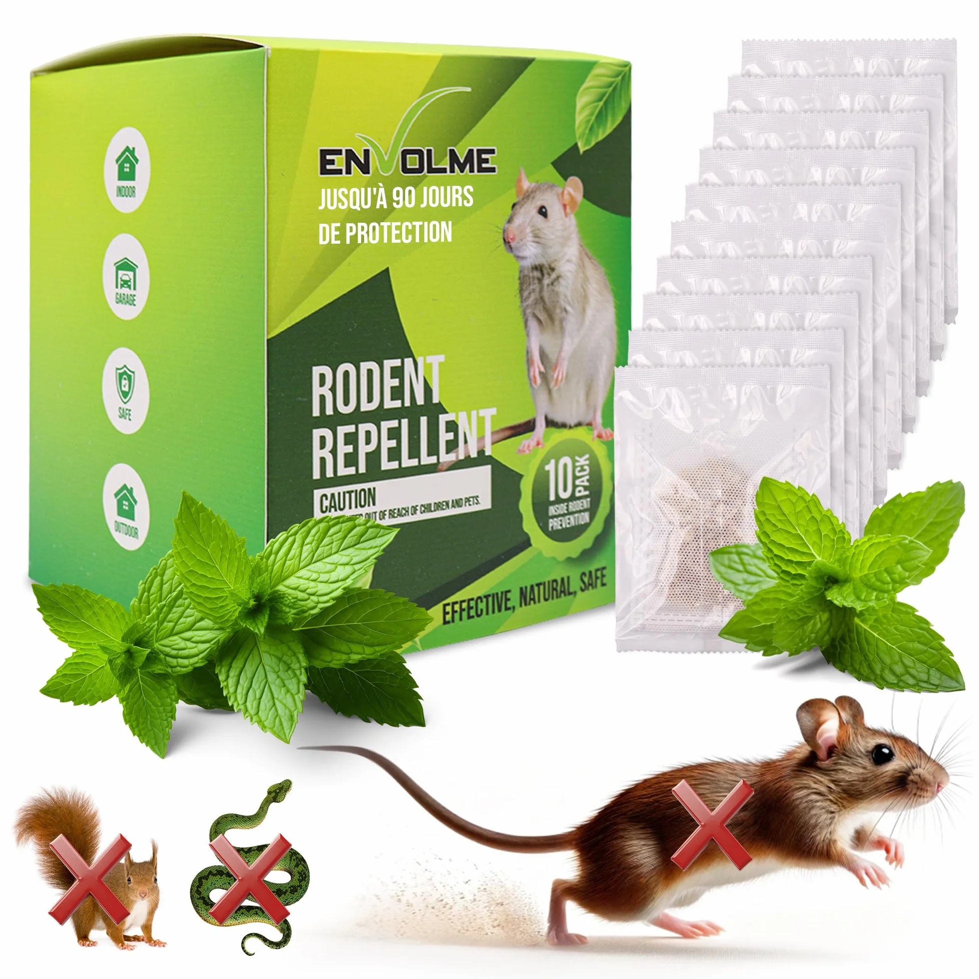 Anti Souris - Menthe Poivrée Repulsif - Répulsif Souris - Répulsif Rongeur pour Voiture - Produit Contre Les Rats - 100% Naturel et Non Toxique