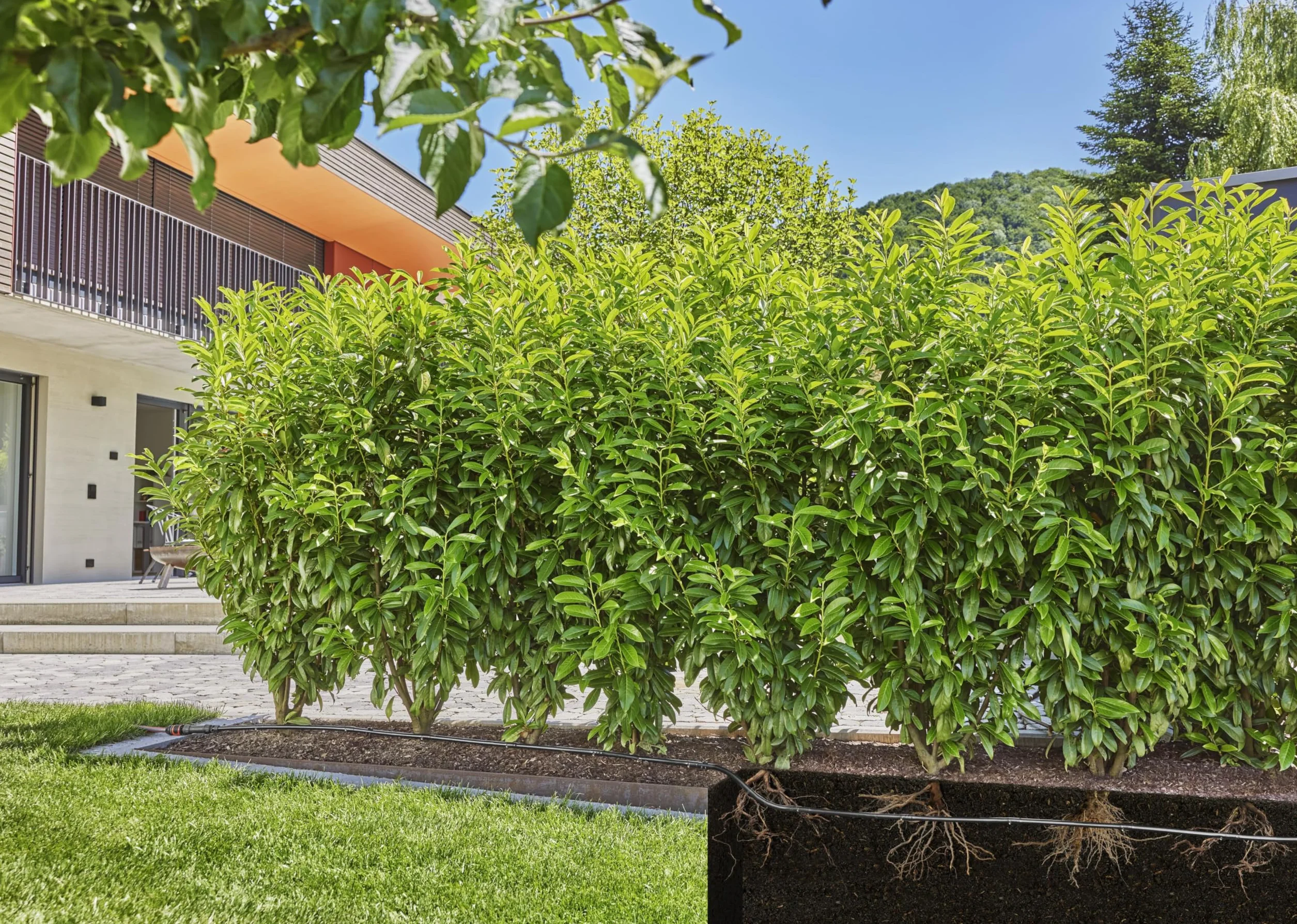 Gardena kit d'arrosage goutte-à-goutte système micro drip 25 m pour haies/arbustes 13500-20