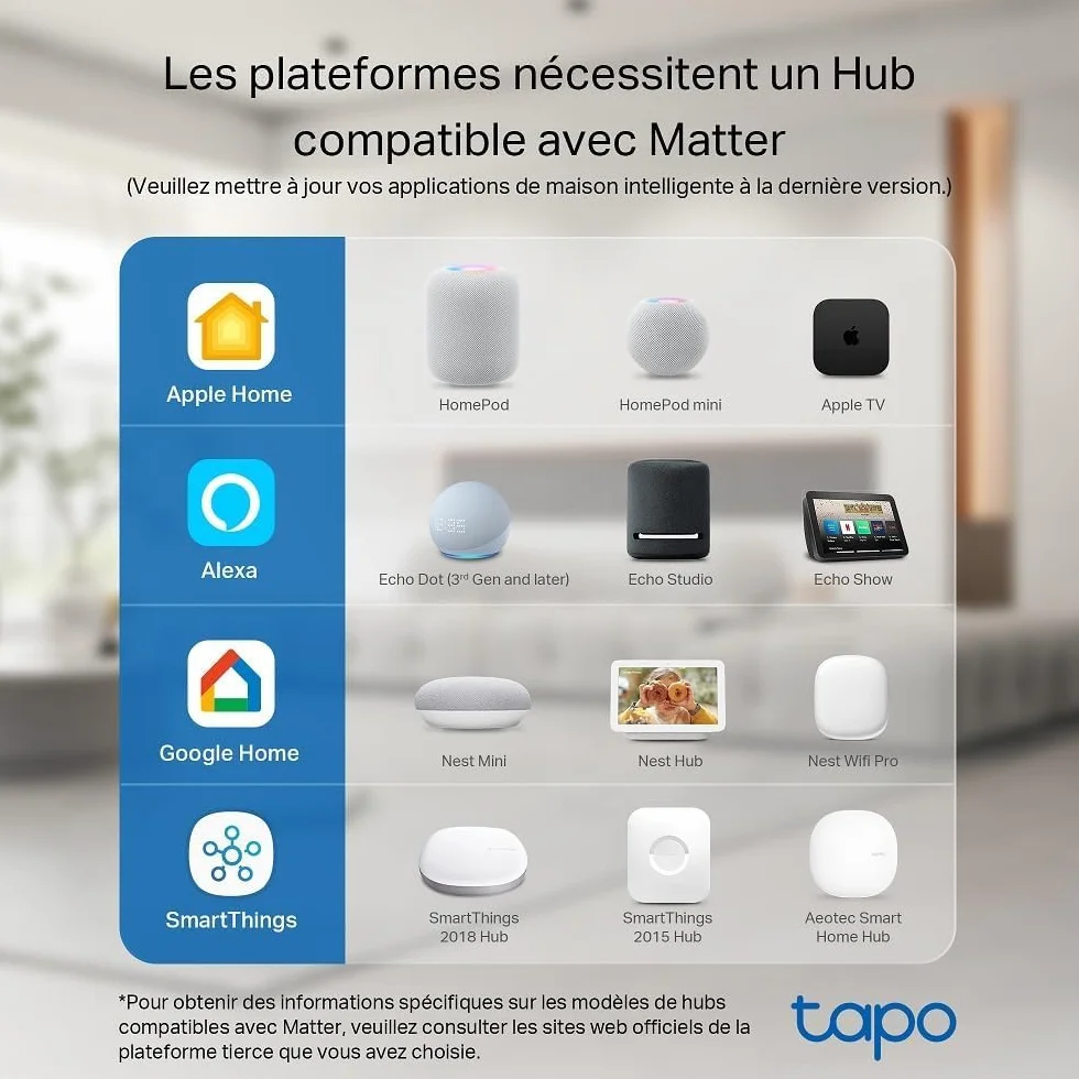 Tapo P110M Prise Connectée WiFi 16A Type E Suivi Consommation Compatible Alexa Google Home SmartThings 2-pack