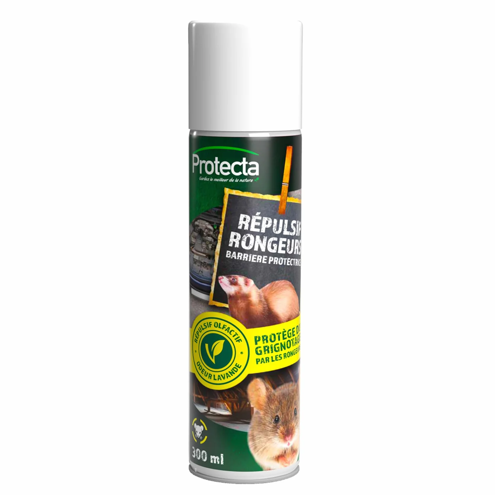 Protecta® Spray Répulsif Souris, Rats et Martres 300ml - Huile Essentielle Barrière Anti-Rongeurs - Protection Efficace pour Câbles, Tuyaux, Durites - Idéal Voitures, Garages, Greniers et Jardins