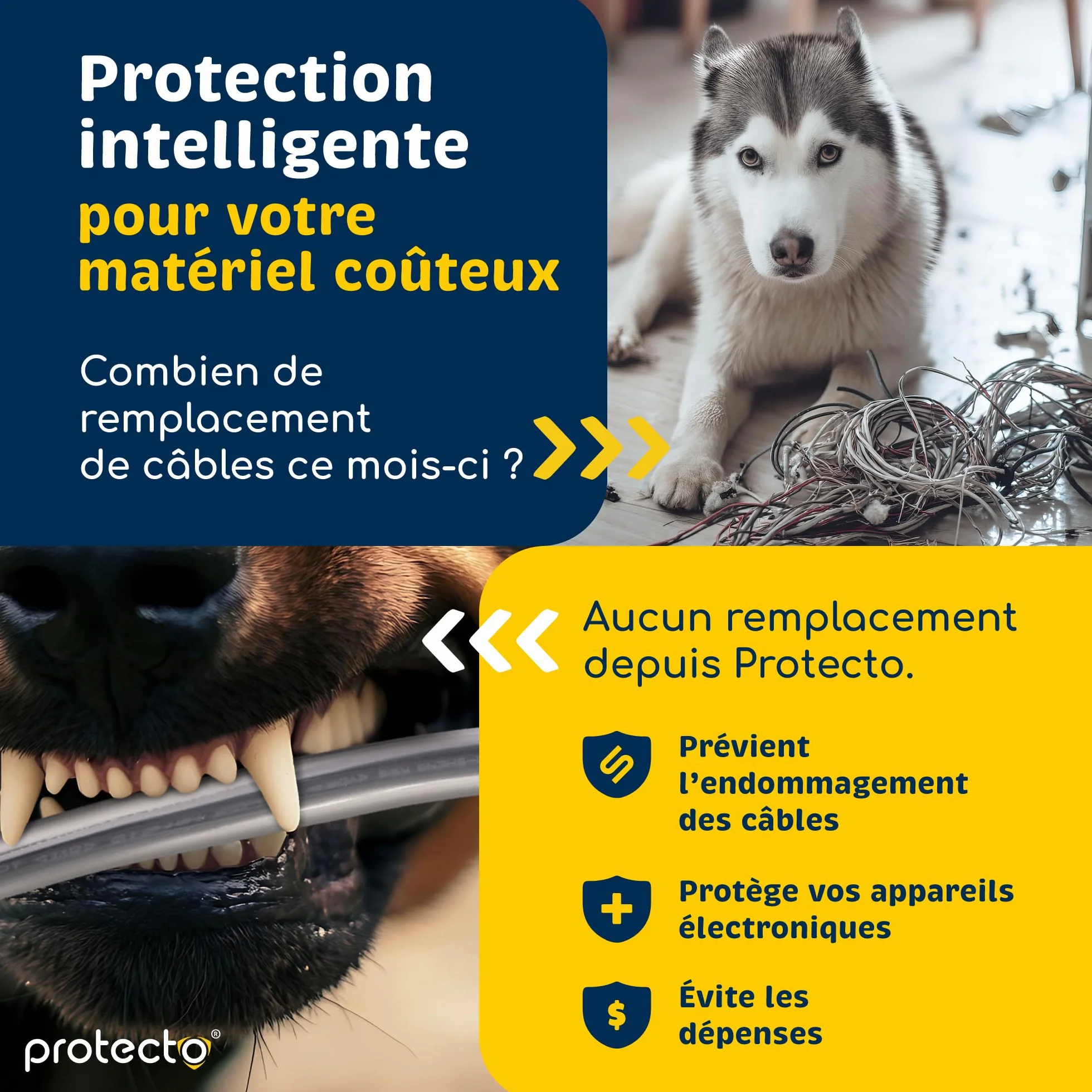 PROTECTO Gaine Protection Câble 3 m Ø 9 mm Anti-Morsure Transparente