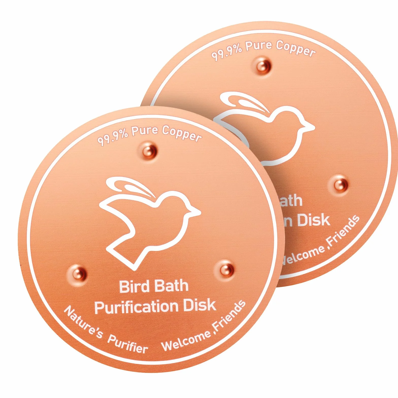 Disque de Purification pour Bain d'oiseaux en Cuivre 99,99% avec Support, pour Extérieur Jardin