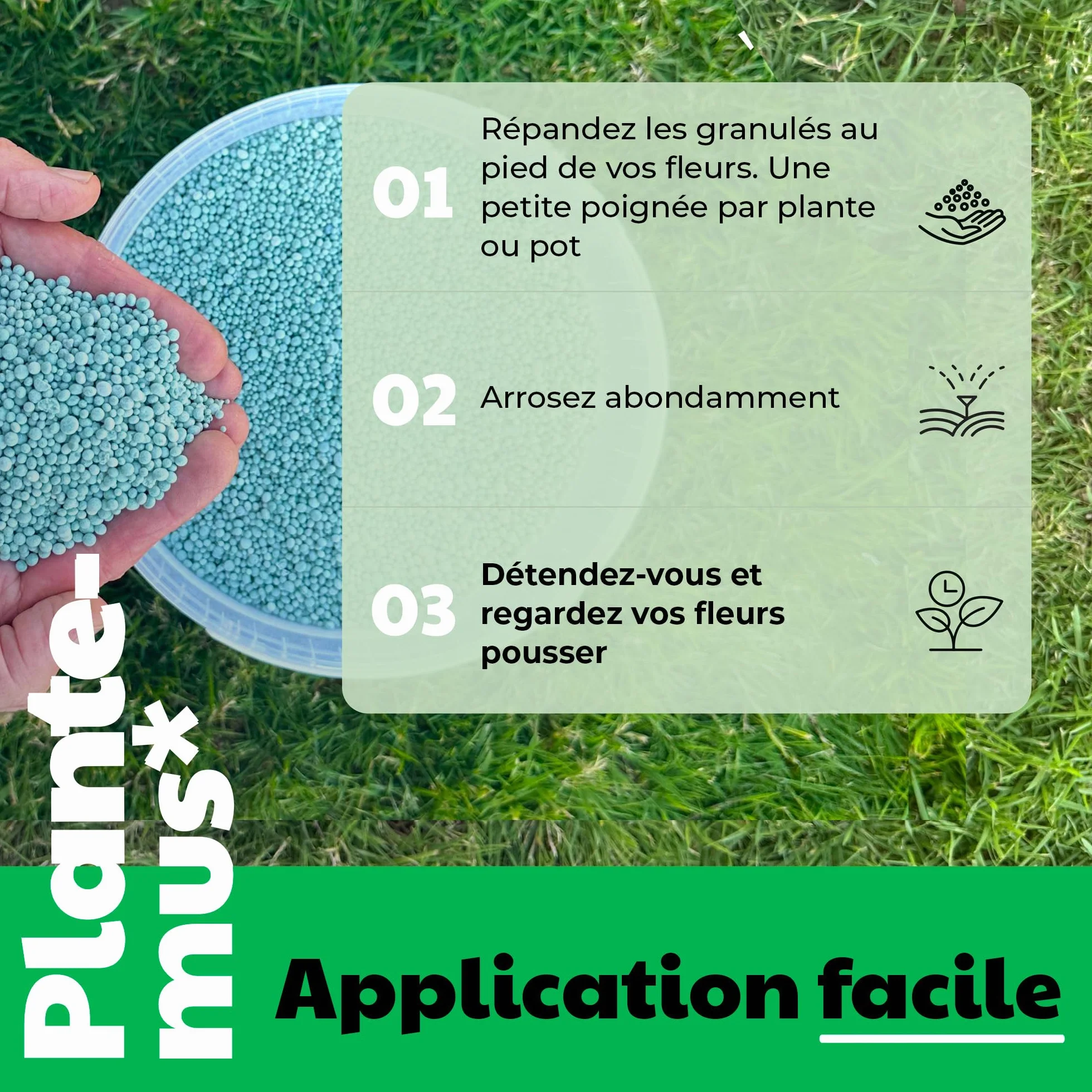 PLANTEMUS Engrais pour Rosiers et Fleurs, idéal pour les Orchidées, Hortensias et tout type de Plantes à Fleurs, Granulé, 1 KG