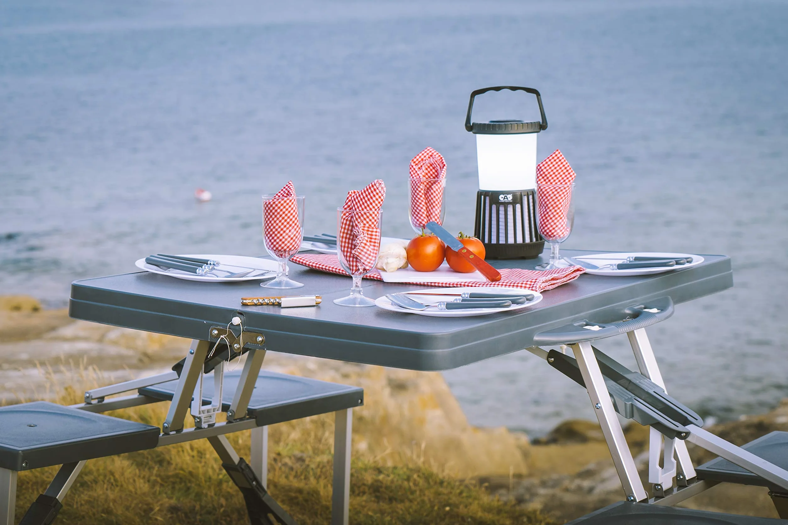 Cao Table Pique-Nique Camping 85 x 65 x 67 cm Bleu