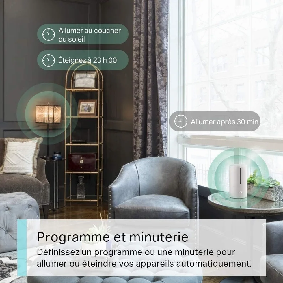 Tapo Prise Connectée WiFi Intelligente 10A Type E Compatible Alexa Google Home Tapo P100 1 Pack