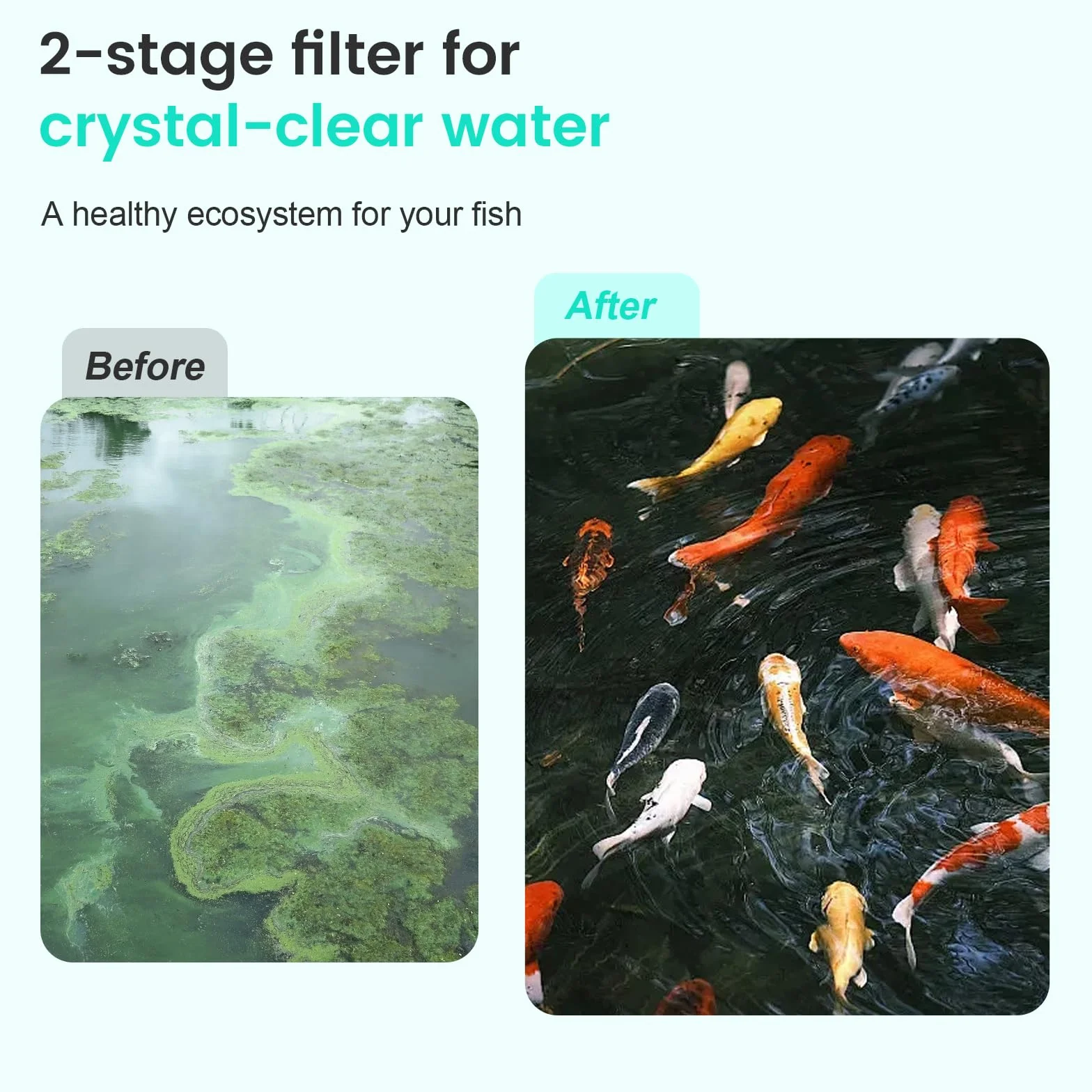 Cascade de bassin en acier inoxydable 20 cm avec pompe 2500 l/h et filtre, tuyau 3 m résistant au gel
