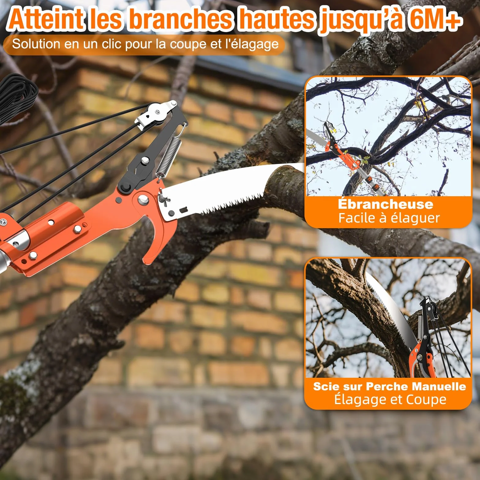 LAANPOLE 6m Scie, Ébrancheur sur Perche Telescopique avec Perche de Extension 1,5-6m, Ébrancheur Manuel pour Jardin