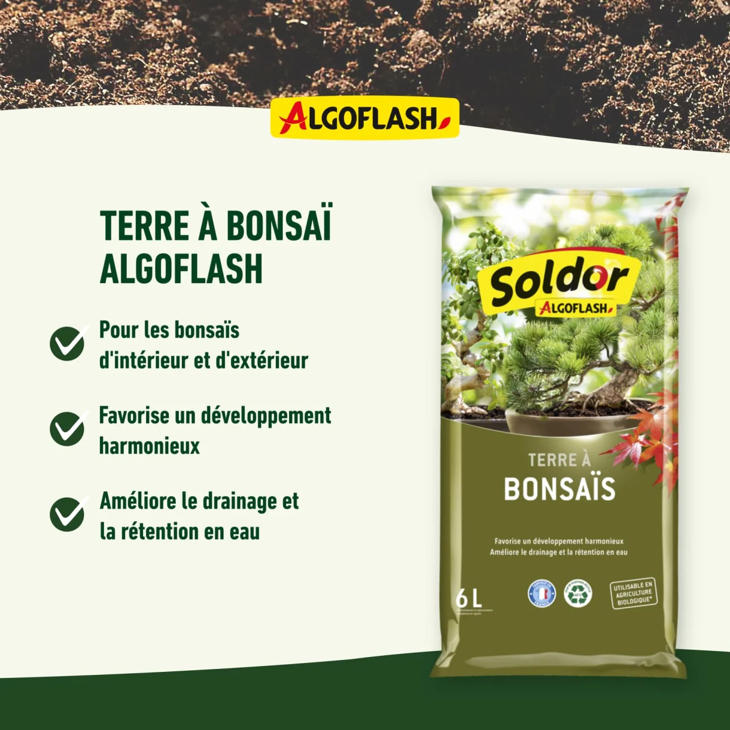 Algoflash Terre à Bonsaïs, UAB, Prêt à l'Emploi, Fabriqué en France, 6 L, TBONZ6