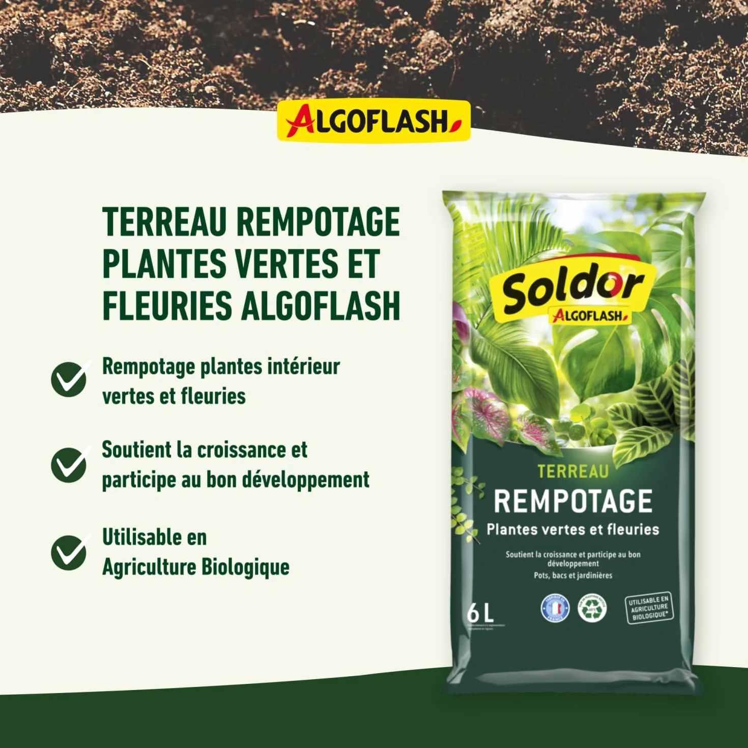 ALGOFLASH Terreau Rempotage Plantes Vertes et Plantes Fleuries, UAB, Prêt à l'Emploi, Fabriqué en France, 6 L,TREMP6